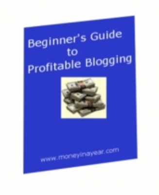 Product picture Beginners Guide To Profitable Blogging